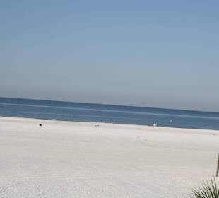 Siesta Key Beach