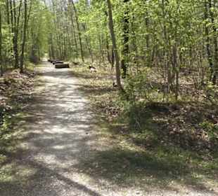 Waldsportpfad im Wasenwald