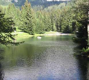 Der Almsee