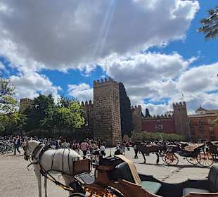 Plaza del Triunfo in Sevilla