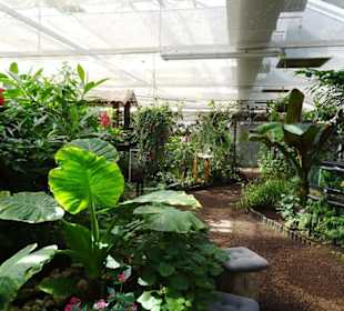 Rundgang durch den Jardin des Papillons