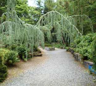 Schloßpark Kasteeltuinen Arcen