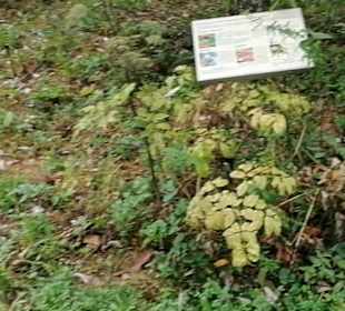 Schaugarten Eninger Weide