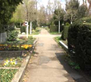 Alter Friedhof