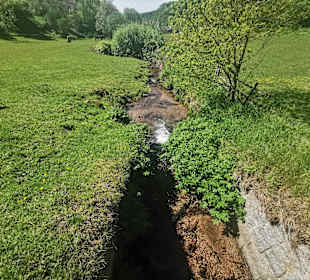 Wandern Rothenberg