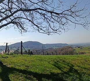 Blickrichtung von Klapping zum Königsberg bei Tie 