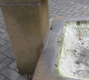 Dorfplatz mit Dorfbrunnen