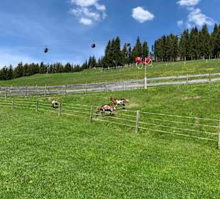 Wandern Saalbach-Hinterglemm
