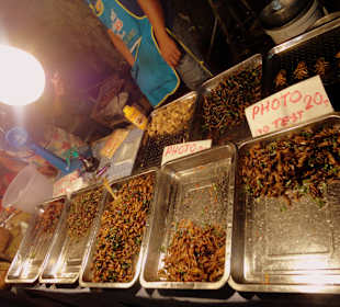 Käfer usw. zum essen bereit...