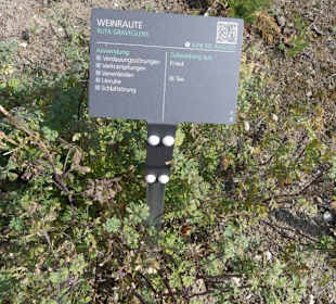 Kräuter Hinweistafel