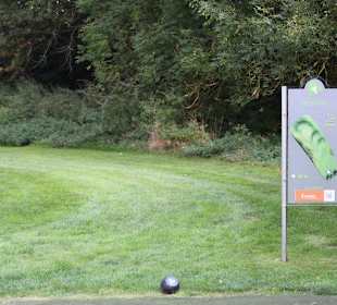 Bahnbeschreibung Bahn 5