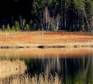 Herbstliche Impression