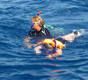 Delphinschwimmen mit Delfine & Meer Hurghada