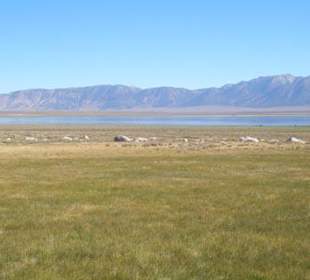 Crowley Lake