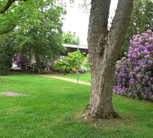 Kurpark Freudenstadt
