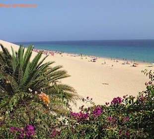 Jandia-Playa del Matorral