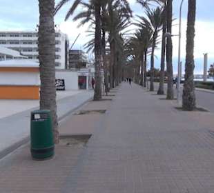 Carretera Del Arenal Balneario