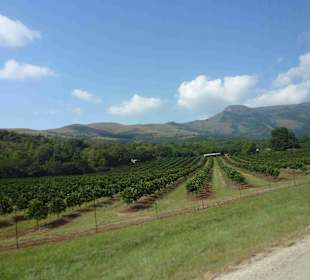 Krüger Nationalpark