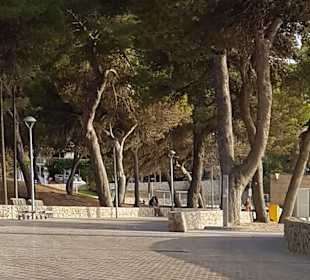 Wandern Santa Ponça / Santa Ponsa