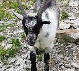Wanderung Passeiertal