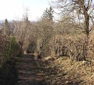 Scheibengipfel