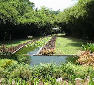 Gepflegte Gartenanlage