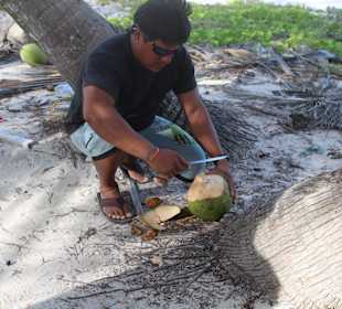 Bitte einmal frische Kokosnussmilch