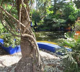 Eindrücke aus dem Jardin Majorelle Garten