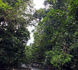 1. kleiner Wasserlauf