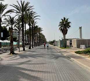 Strandpromenade Playa/Platja de Palma