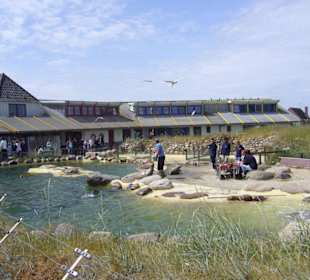 Seehundstation Friedrichskoog