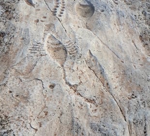 Al Jassasiya Rock Art Site