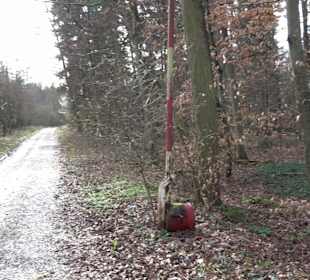 Gomaringer Rundweg - Zu den Giganten im Wald