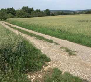 Premiumspazierweg Früchtetrauf-Leisawegle