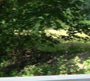 Wiesaztal Gönningen