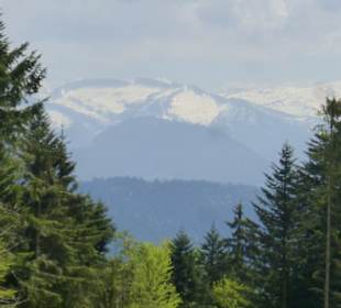 Eindrücke unserer Wanderung am Pfänder