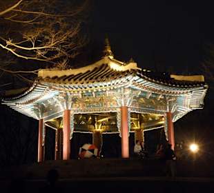 In piazza di Seoul Tower