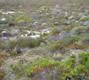 Kap der Guten Hoffnung