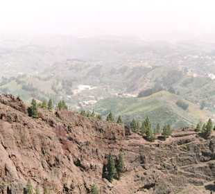 Caldera Pinos de Galdar -  Gran Canaria
