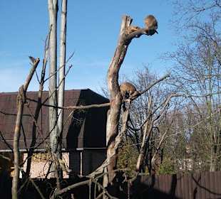 Zoo Liberec
