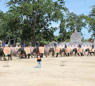 Aufmarsch der Elefanten