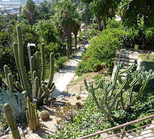 Kakteensammlung