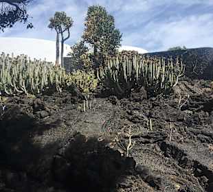 Sichtbare Vulkantätigkeit