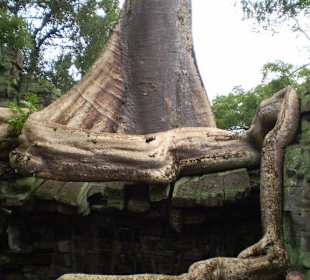 Tempel Ta Prohm