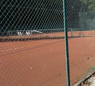 Tennisplätze