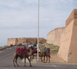 Auf dem Festungsberg