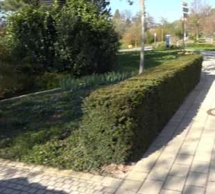 Panorama Therme Beuren