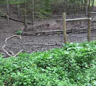 Walderlebnisweg Rottenburg