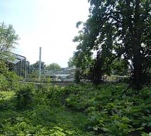 Parkanlage Planten un Blomen