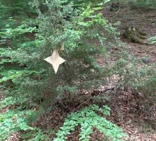 Waldlehrpfad in Tieringen